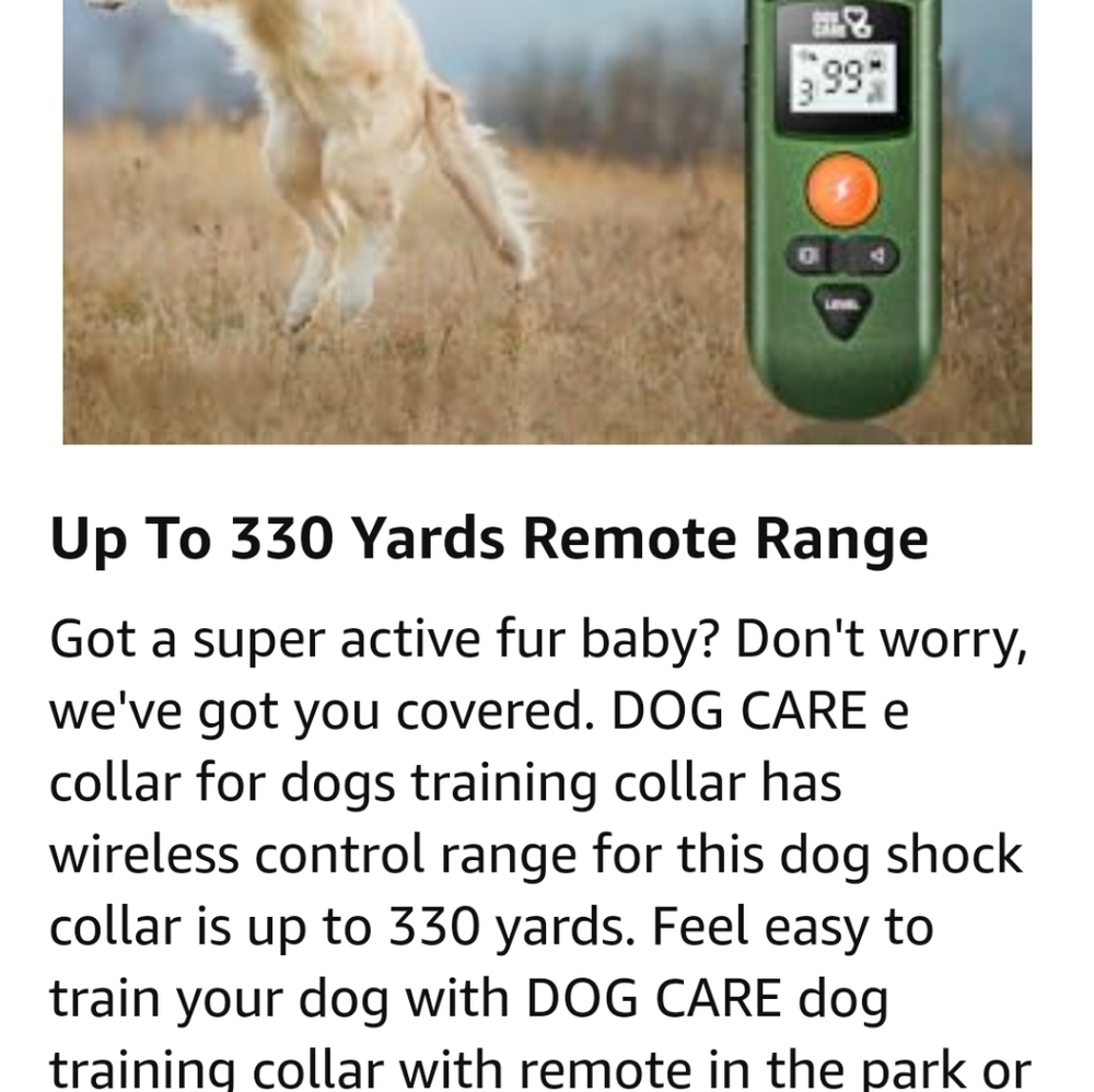 Dog collar